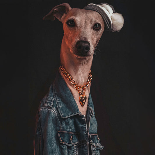 Hund Apollo auf Leinwand – Einzigartige Wandkunst für Hundeliebhaber