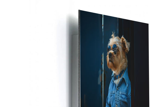 Hund Coolio - Hochwertige Dibond-Dekoration für Ihr Zuhause